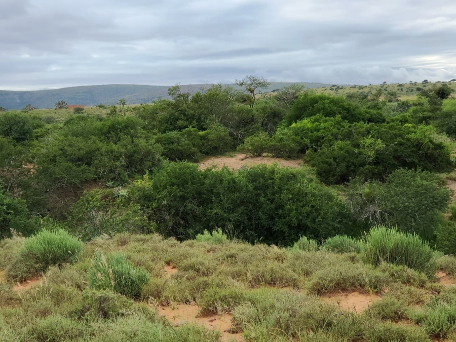 Commercial Property for Sale in Somerset East Rural Eastern Cape